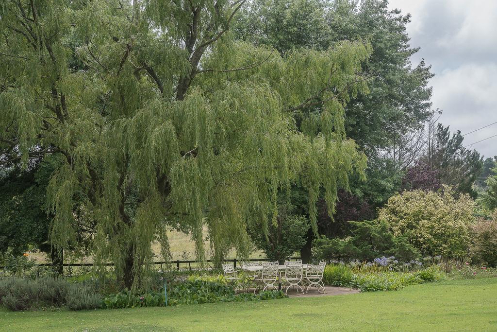 Glen Ormond Country House Henburg Park ภายนอก รูปภาพ