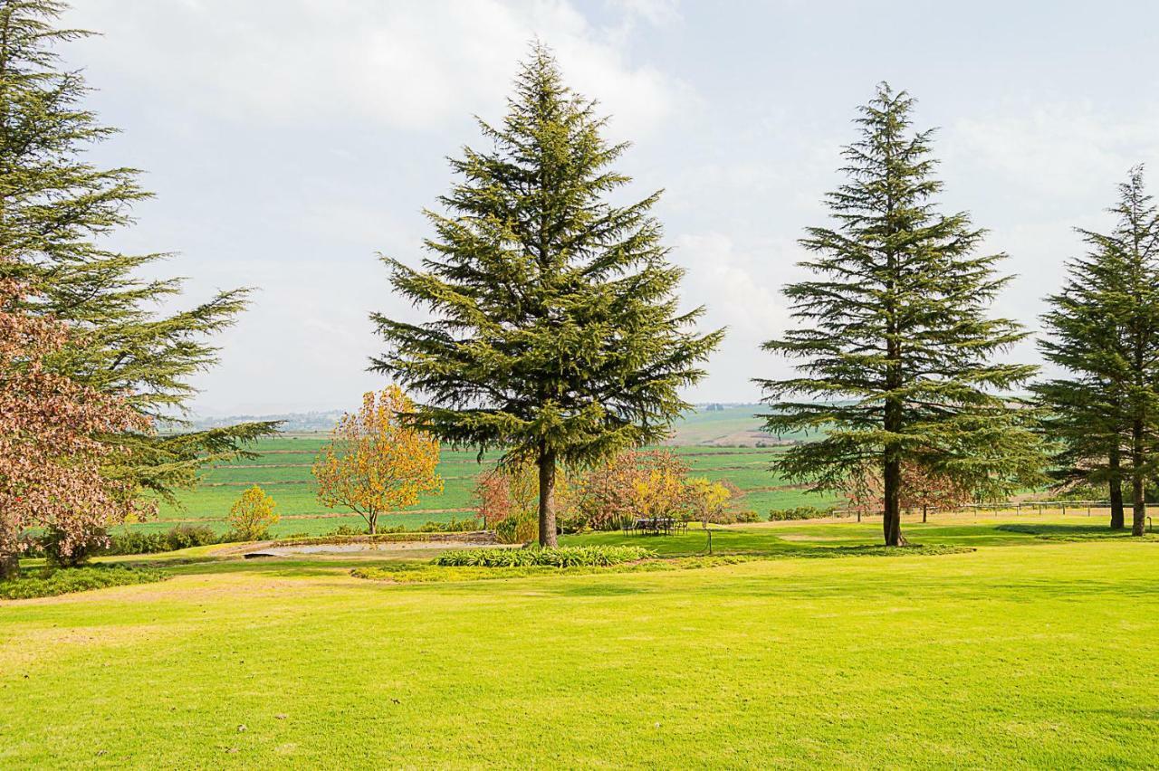 Glen Ormond Country House Henburg Park ภายนอก รูปภาพ